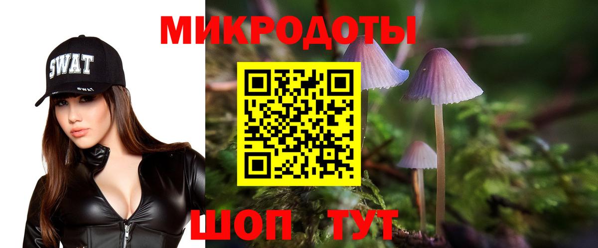 Псилоцибиновые грибы MAGIC MUSHROOMS Россия