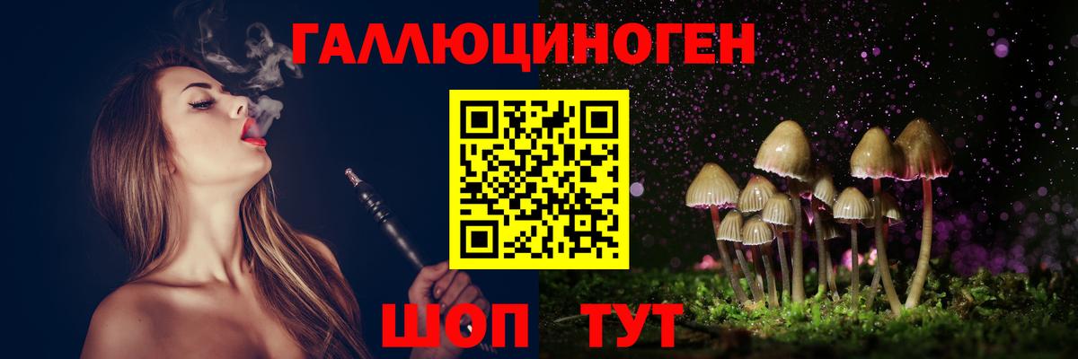Россия  Псилоцибиновые грибы MAGIC MUSHROOMS  Вход с VPN 